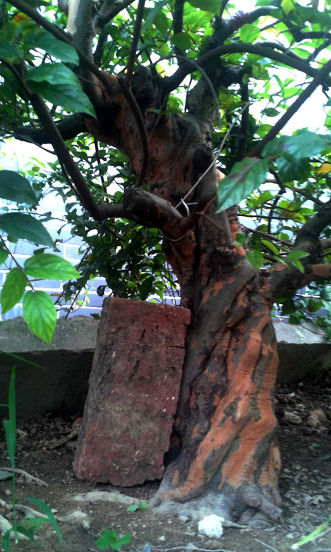2014-08-03 15.51.13.jpg