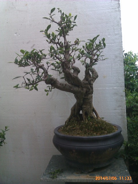 IMAG0243.jpg