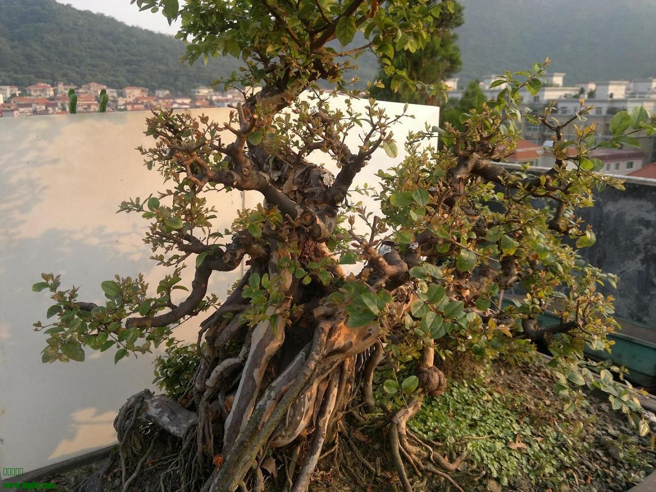 201407312035.jpg