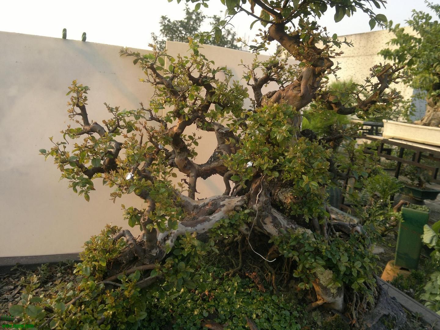 201407312031.jpg