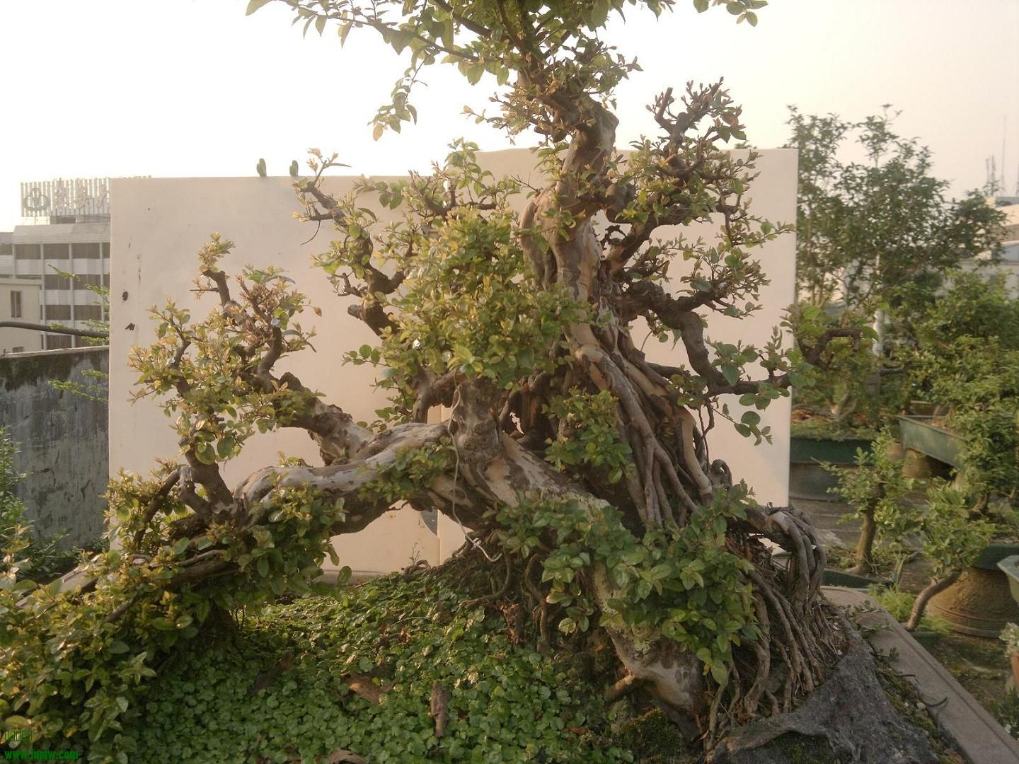 201407312029.jpg