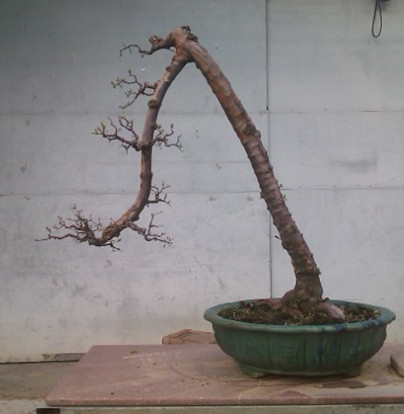 IMAG0028_.jpg