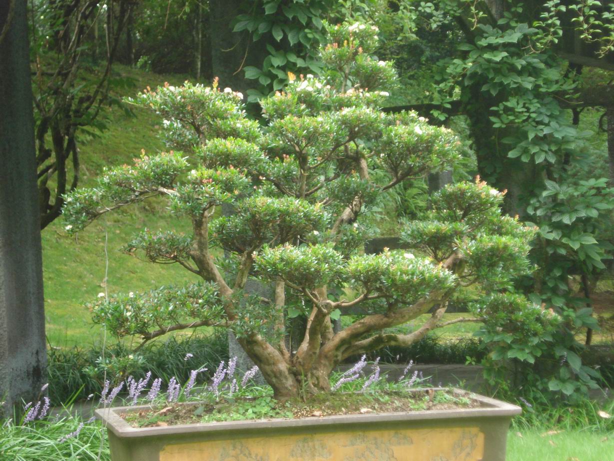 С DSC03784.JPG