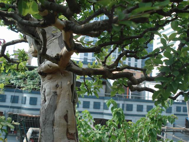 DSC00027.JPG