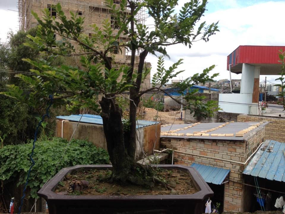 QQͼƬ20140809165131.jpg