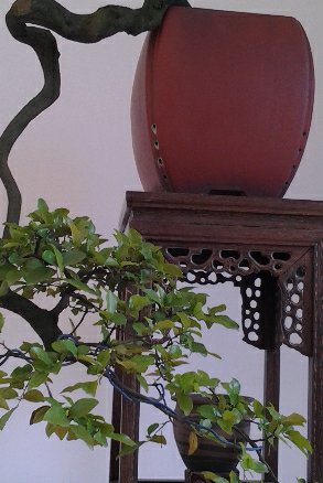 20140505_122454_mh1407745034270.jpg