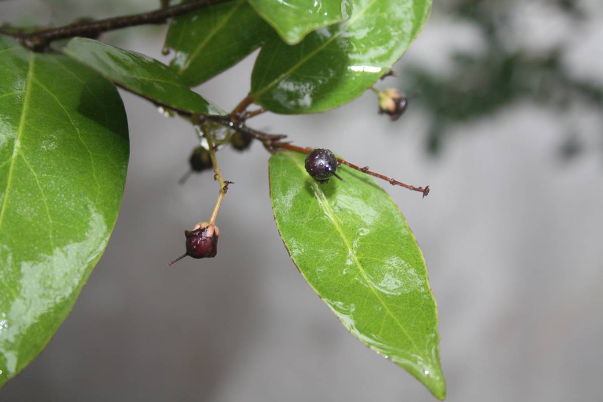 Ƭ20131026ۺ 010.jpg