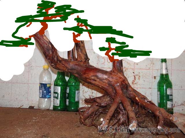 195529galrsvtftcpztvs8.jpg.thumb.jpg
