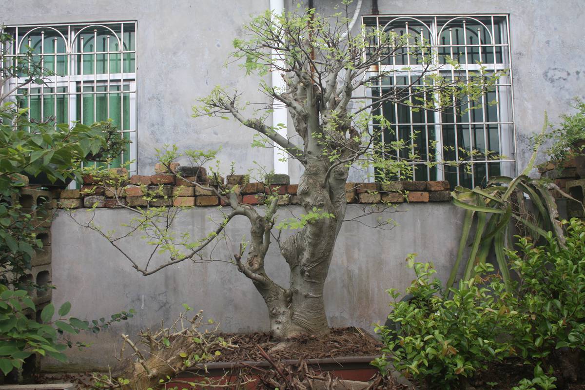 Ƭ20131026ۺ 1737.jpg