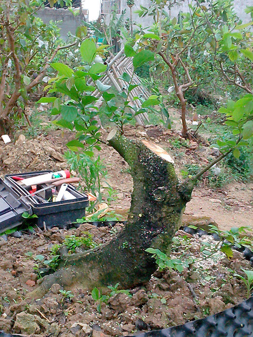 IMG20130325014_.jpg