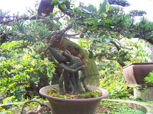 100_4575.JPG