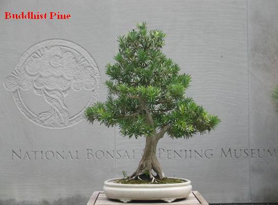 128_fs޺.jpg