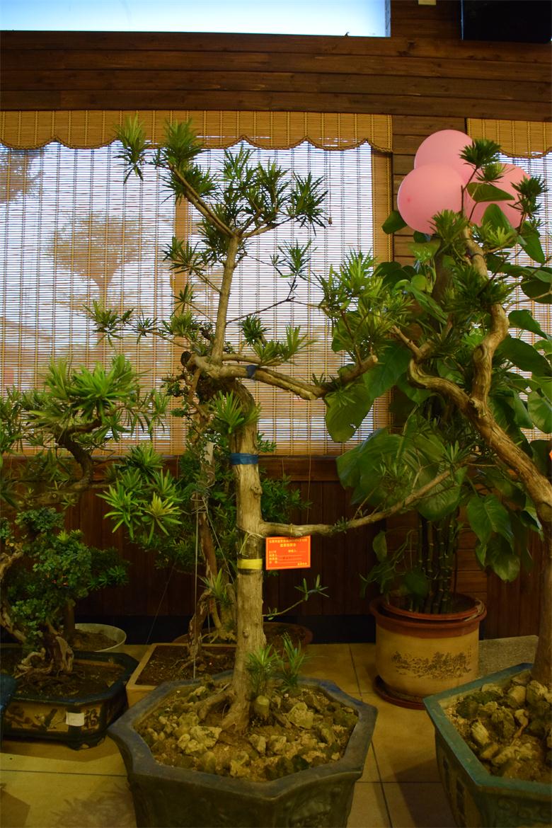 DSC_0363.JPG