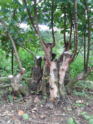 20140820_172238.jpg
