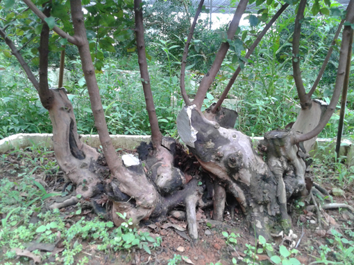 20140820_172312.jpg