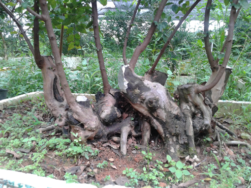 20140820_172335.jpg