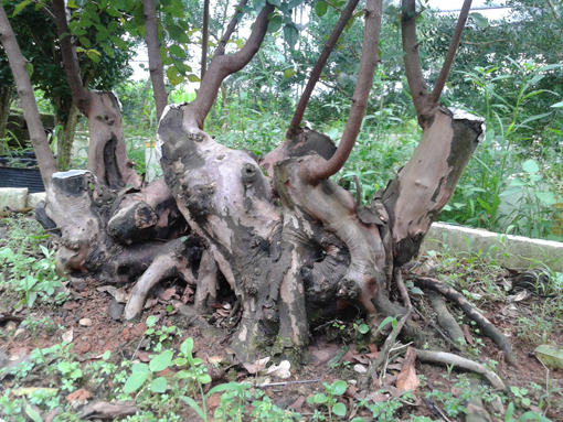 20140820_172351.jpg