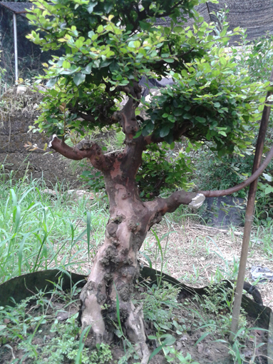 20140820_172431.jpg