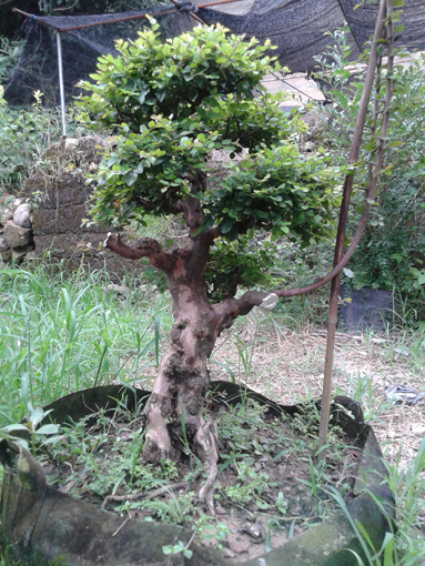 20140820_172441.jpg