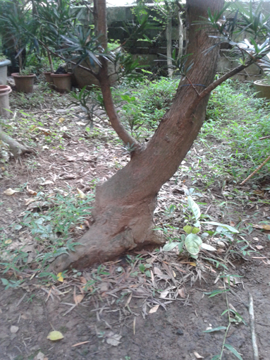 20140713_173732.jpg