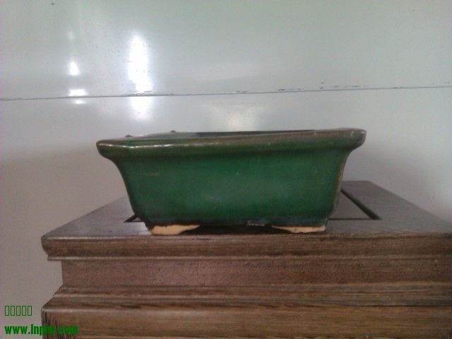 IMAG0076.jpg