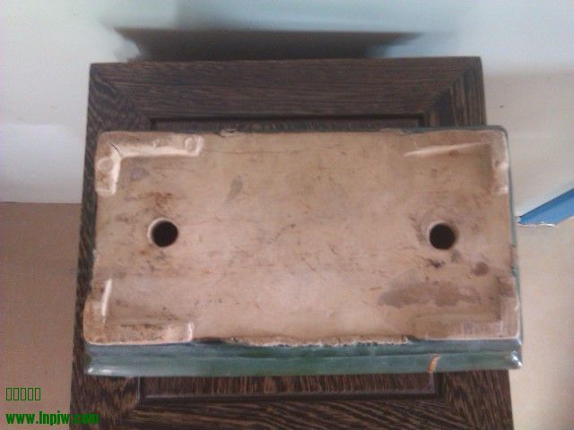 IMAG0078.jpg