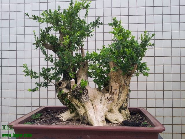 20140818_070936.jpg