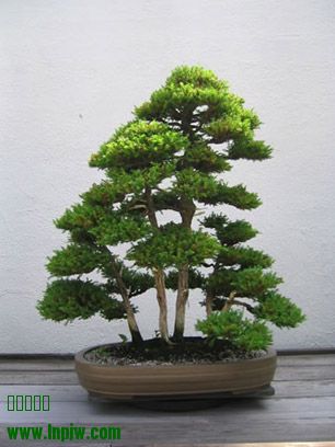 11_200608_fs.jpg