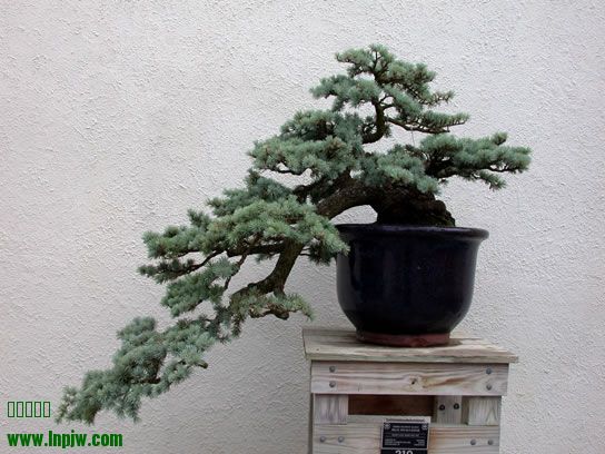 210__200410_fs.jpg