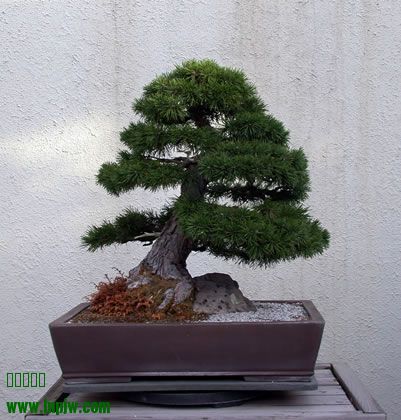 237_200411_fs.jpg