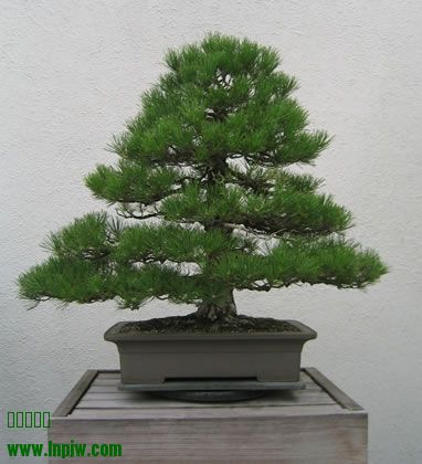 240_200608_fs.jpg