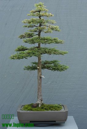248_200306_fs.jpg