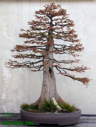 249_200411_fs.jpg