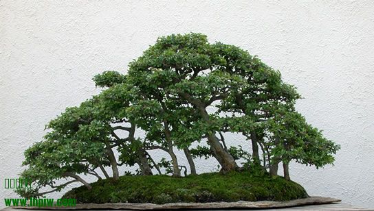 254_200305_fs.jpg