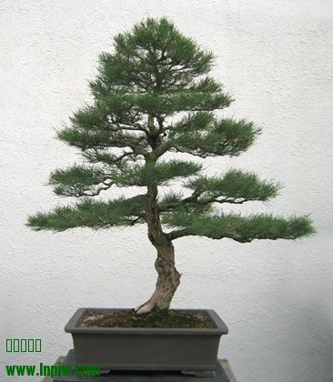 259_200608_fs.jpg