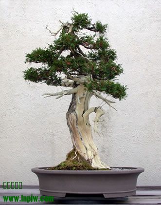 264_200411_fs.jpg