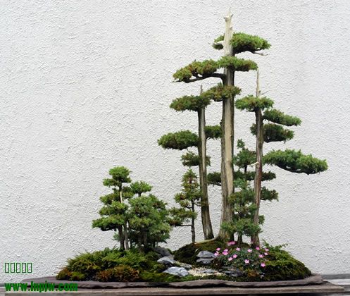 267_200308_fs.jpg