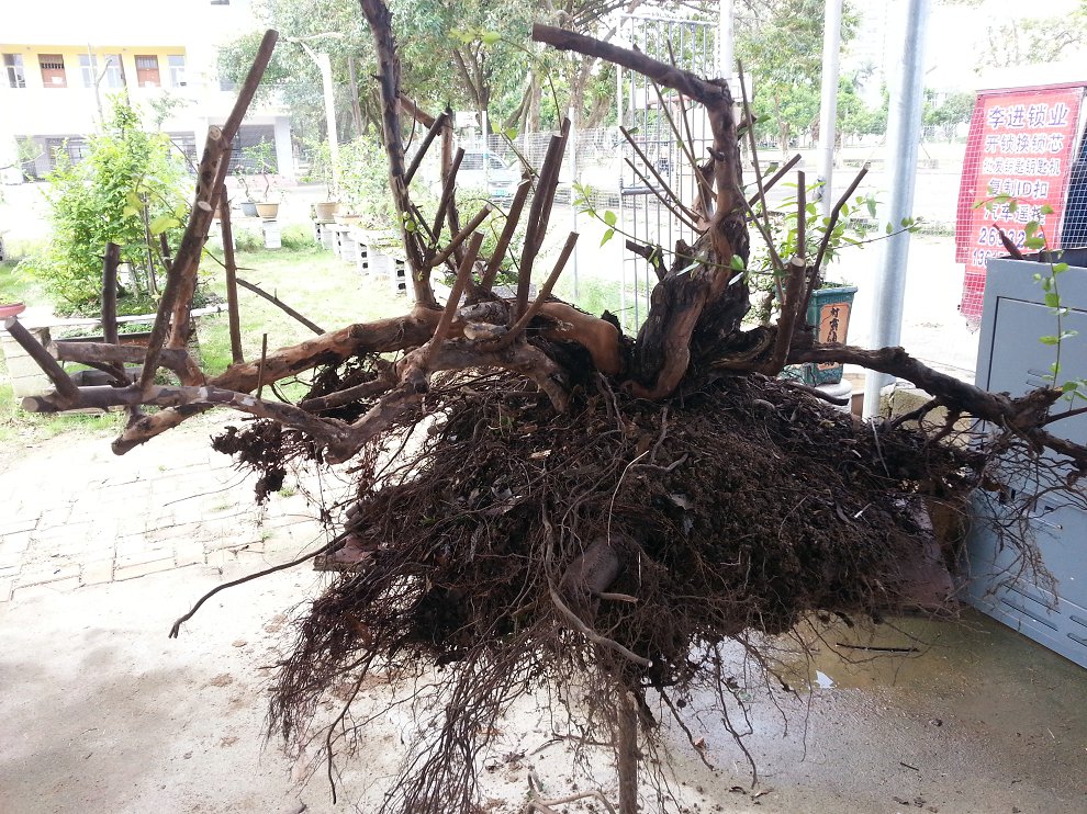 20140817_163346.jpg