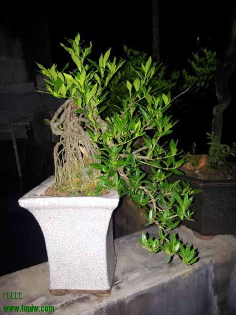 20140821_213935.jpg