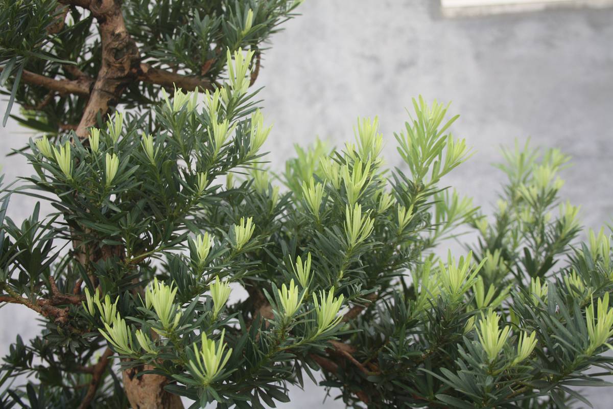 Ƭ20131026ۺ 1784.jpg