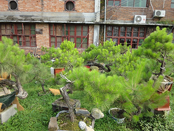 DSC02917.JPG