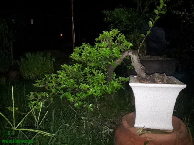 20140821_213039.jpg