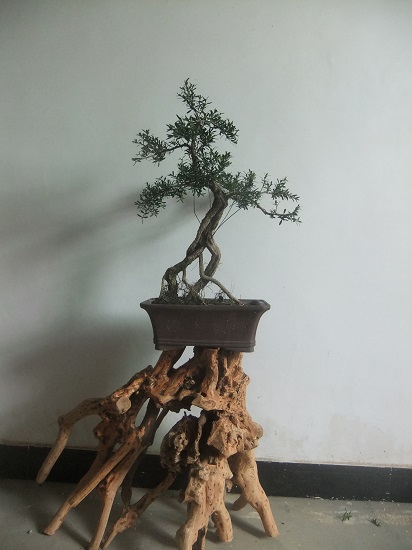 DSCF9778.JPG