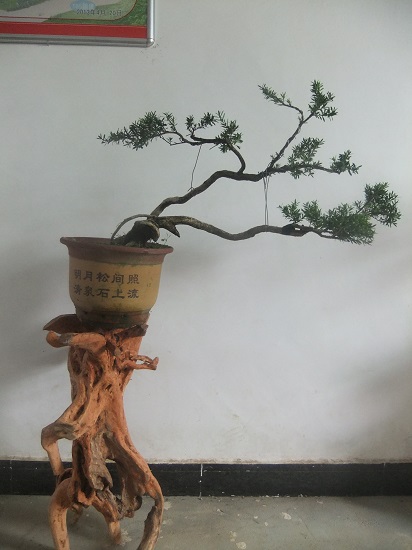DSCF9785.JPG