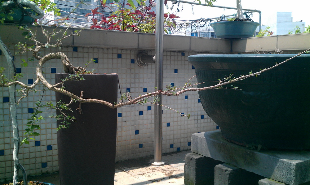 IMAG0163.jpg