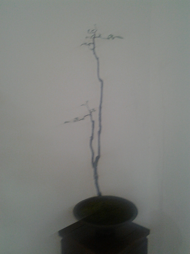 20140815_191256.jpg