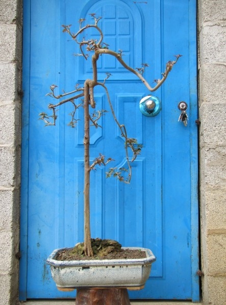 ÷2012.jpg