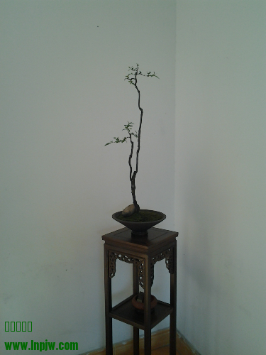 20140825_102600.jpg