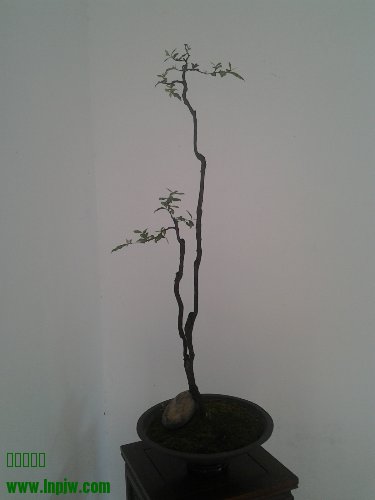 20140825_105027.jpg
