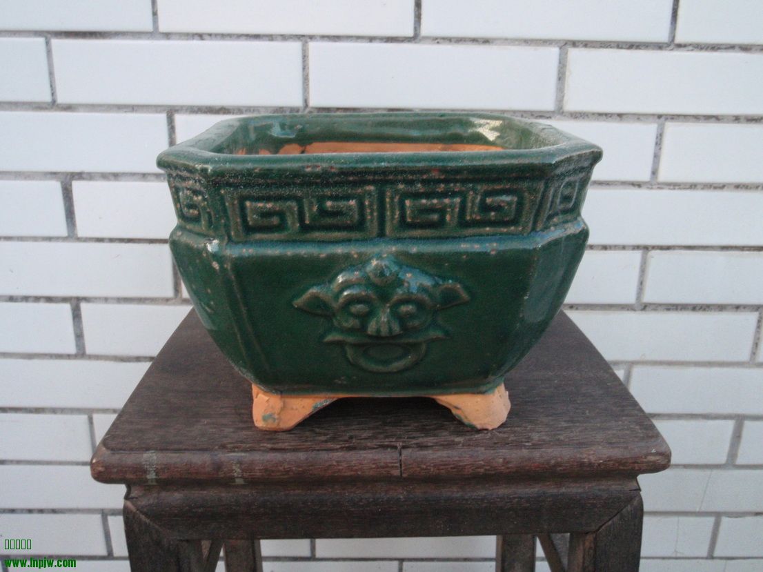 P8250112_С.JPG